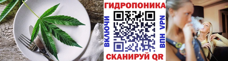 продажа наркотиков  Киржач  Cannafood марихуана 