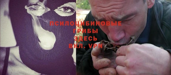 прущие грибы Гусь-Хрустальный