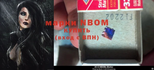 прущий лед Абаза