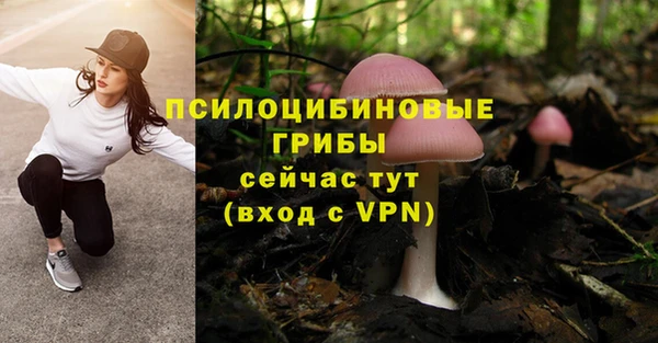 хмурый Абдулино