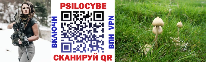 Псилоцибиновые грибы мицелий  где найти наркотики  Киржач 